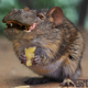Illustration for article titled Yikes, these animal hybrids are so hilariously terrifying